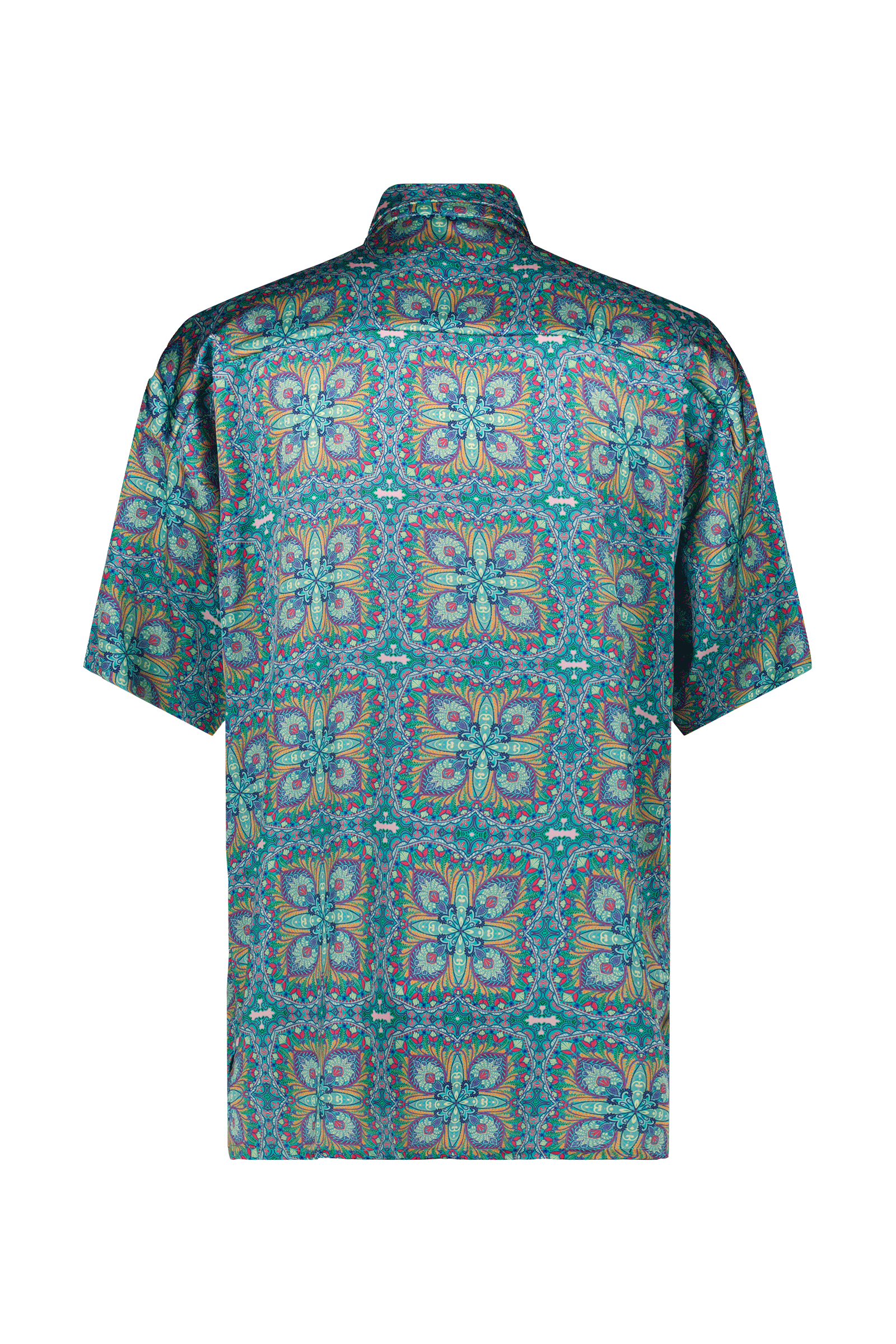 The Logan Shirt back